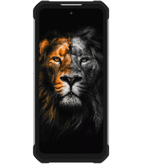 Ремонт Oukitel WP17 в Новокузнецке